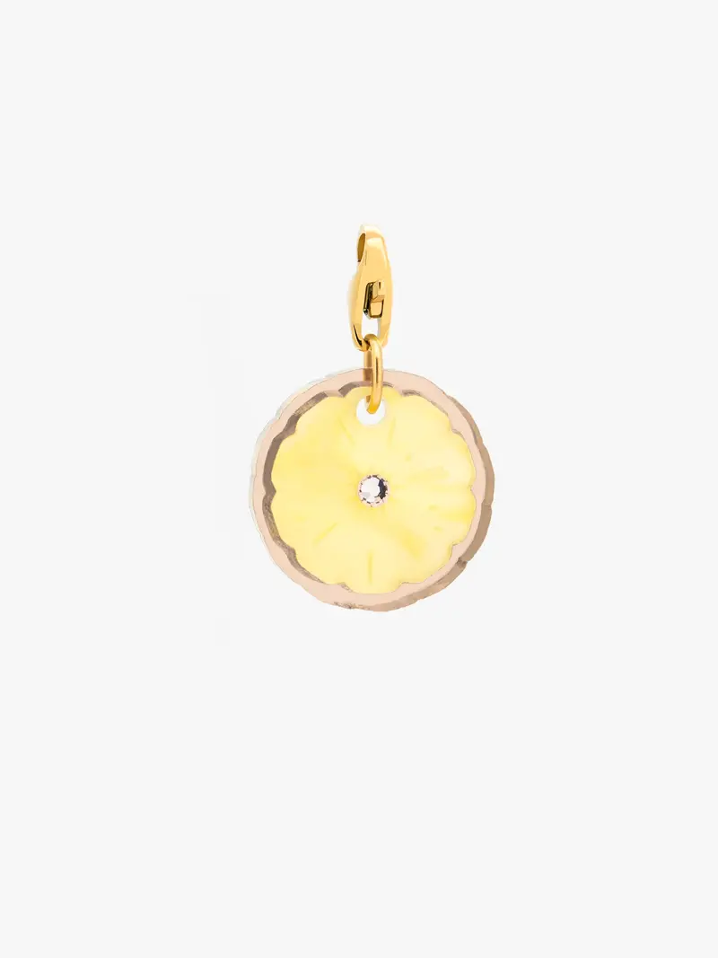 Fruti Piña Charm