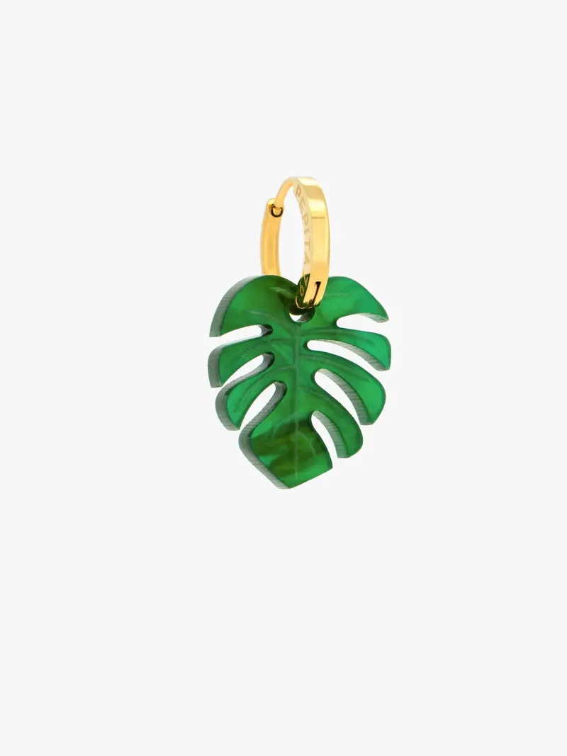 Hojita Monstera Pepi