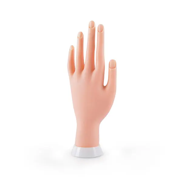 Mano Flexible Para Practicas Flexible Hand Bifull